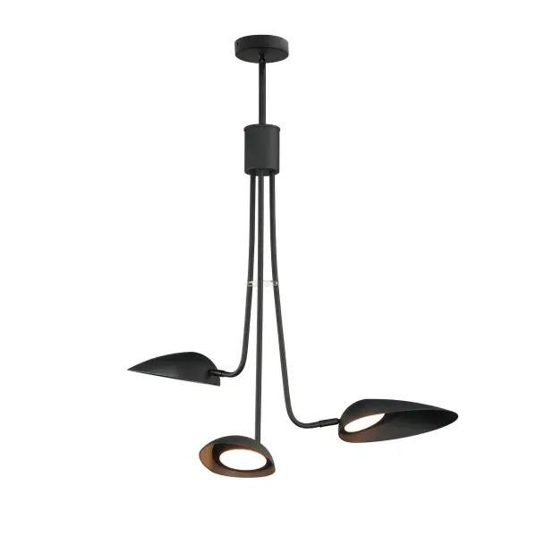 Biophilic Design Meets Modern Minimalism in Sleek Black Pendant - Image 1