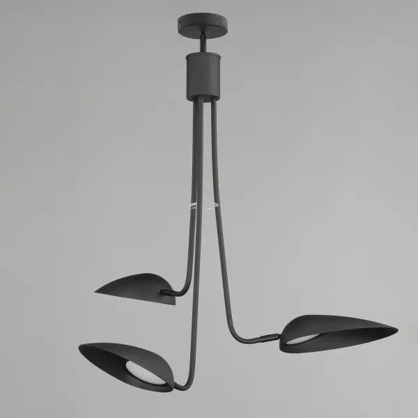 Biophilic Design Meets Modern Minimalism in Sleek Black Pendant - Image 3