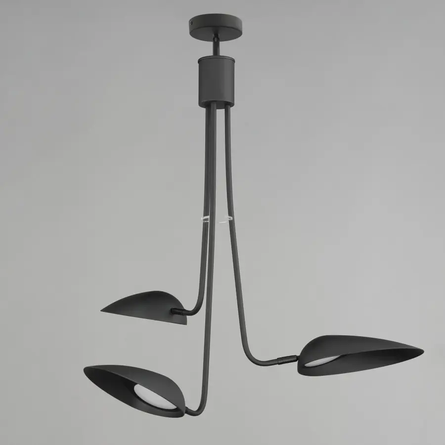Biophilic Design Meets Modern Minimalism in Sleek Black Pendant - Image 3