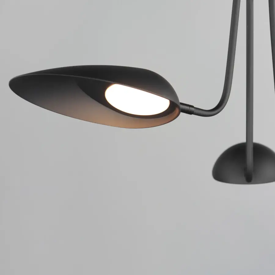 Biophilic Design Meets Modern Minimalism in Sleek Black Pendant - Image 4