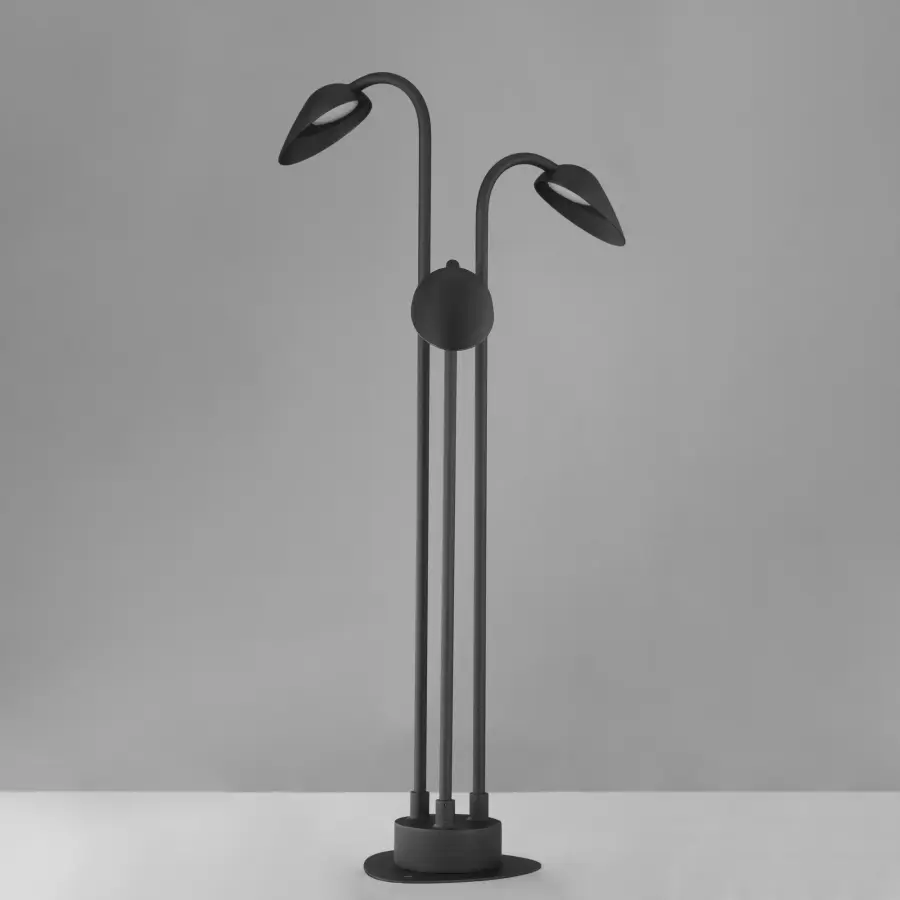 Modern Biophilic Design Meets Functional Outdoor Illumination - Image 2