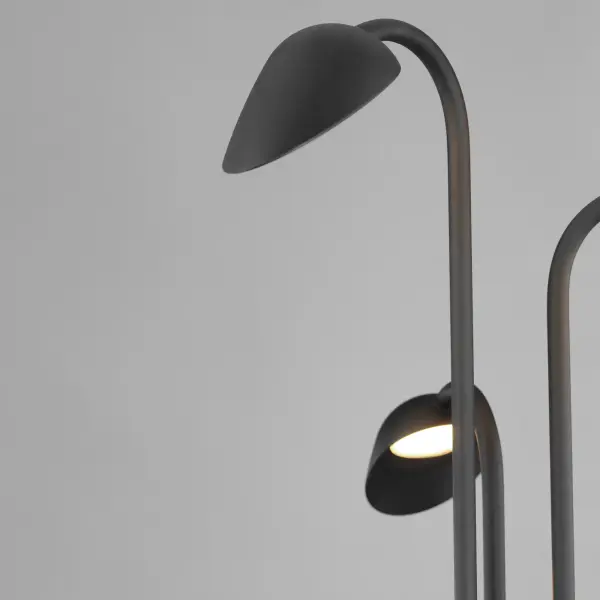 Modern Biophilic Design Meets Functional Outdoor Illumination - Image 3