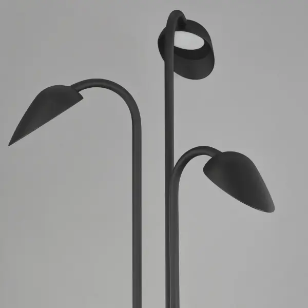 Modern Biophilic Design Meets Functional Outdoor Illumination - Image 4