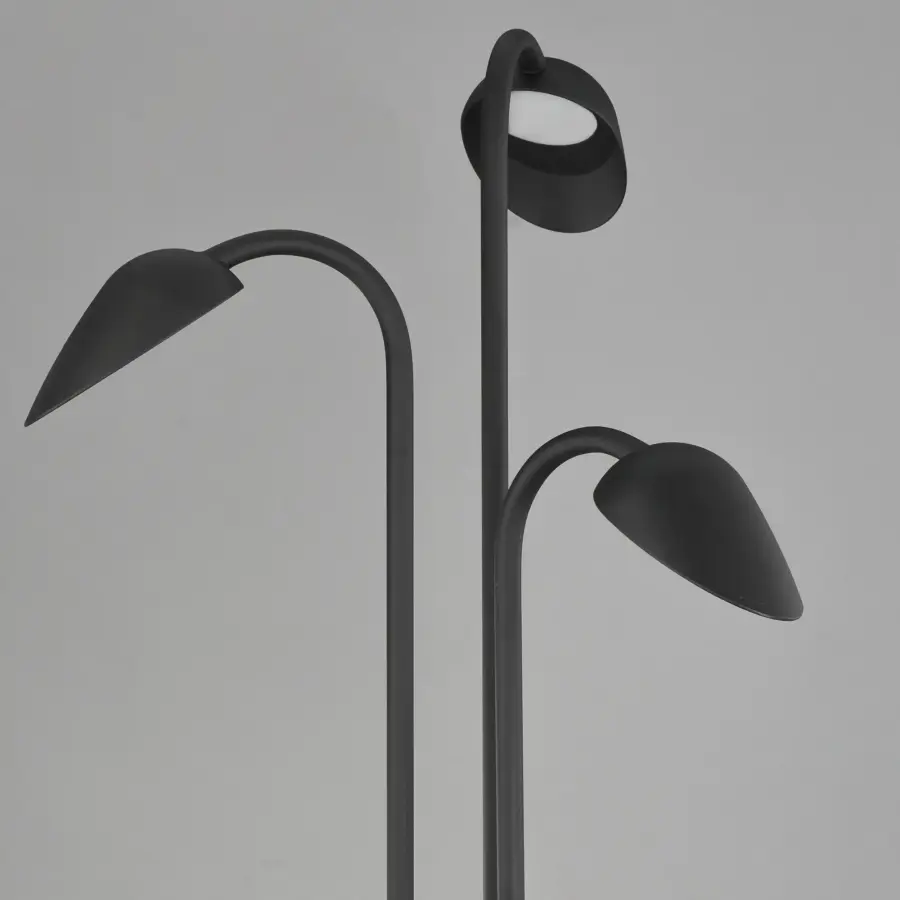 Modern Biophilic Design Meets Functional Outdoor Illumination - Image 4