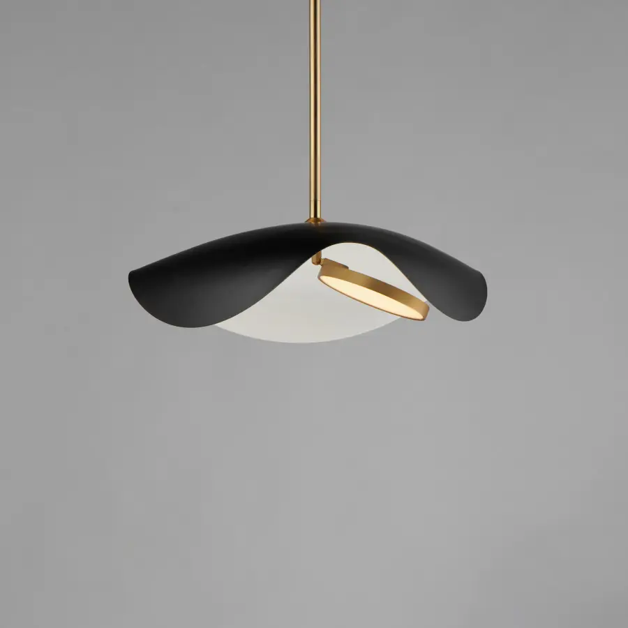 Sculptural LED Pendant with Adjustable Directional Lighting - Image 2