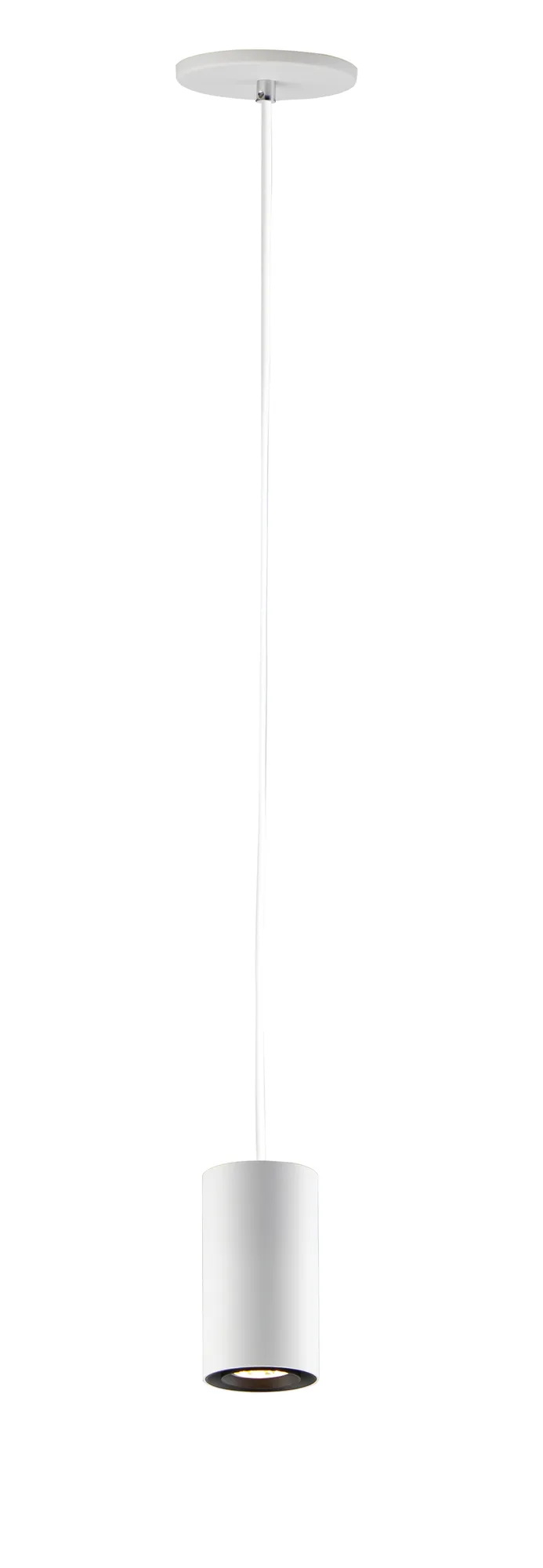 Dwell Single Pendant Light in White