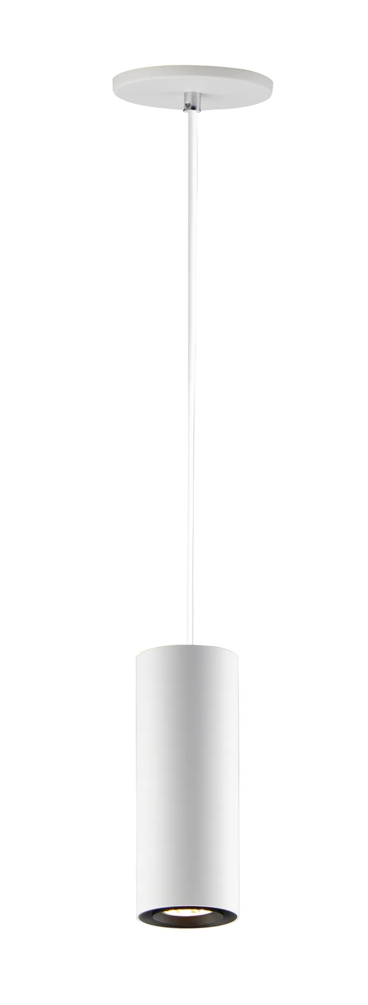 Dwell Single Pendant Light in White