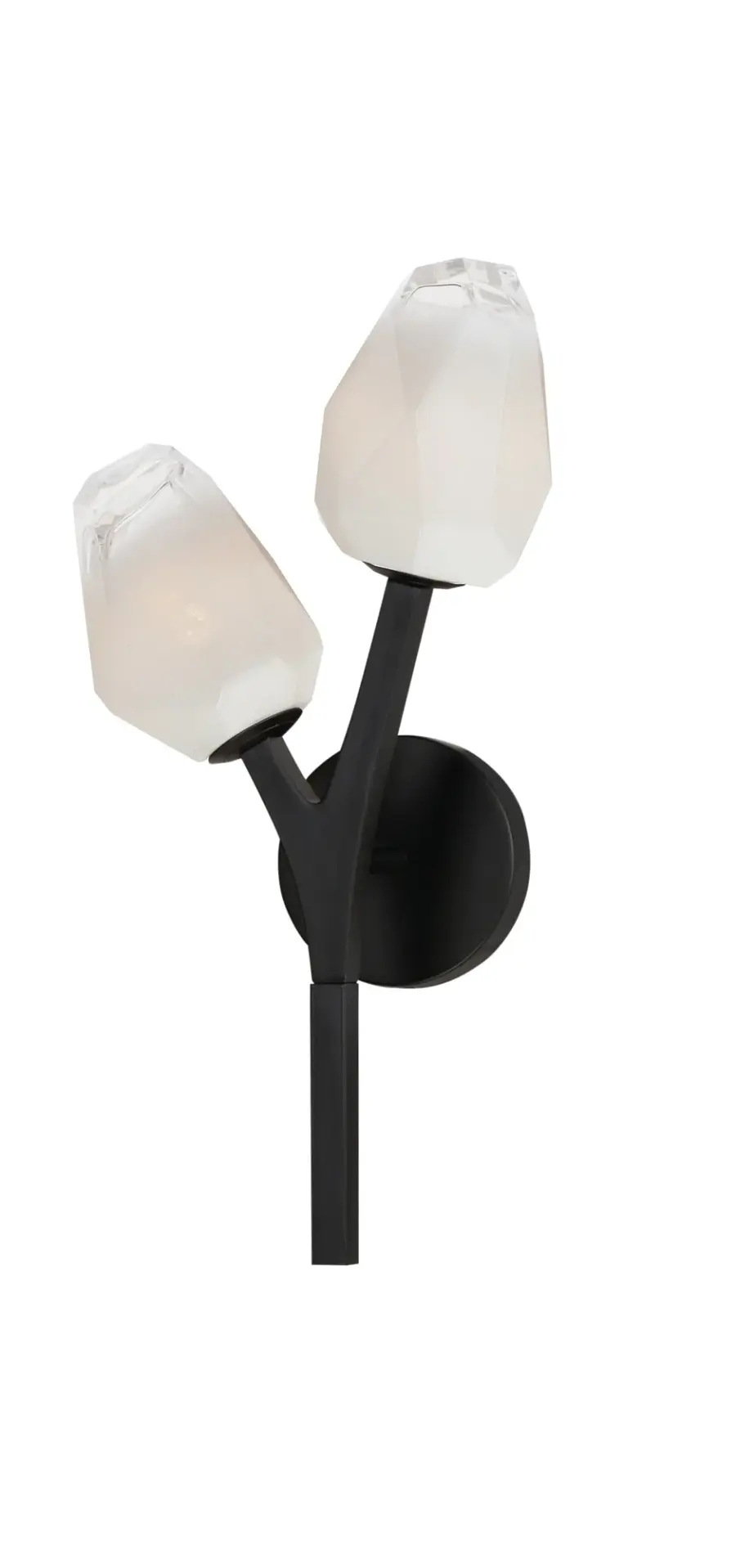 Blossom 2-Light LED Wall Sconce in Black - Image 1