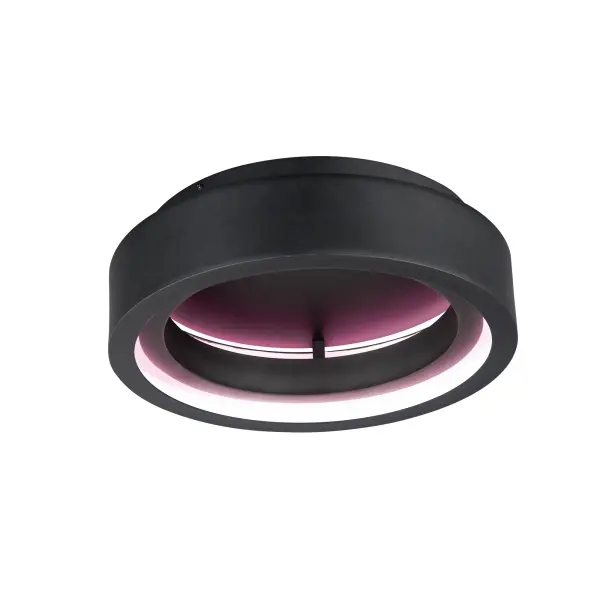 The iCorona combines Red Dot Award-winning design with advanced WiZ smart technology. Its dual matte white ring houses a color-changing LED engine controllable via app or voice, perfect for wellness routines and ambiance control.
