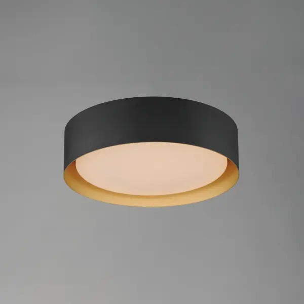 Echo 16" LED Flush Mount in Black with Gold Interior - Image 4