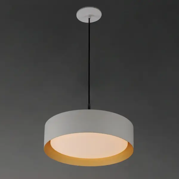 The Echo pendant combines clean contemporary styling with practical LED illumination. Its white exterior and gold interior create warm, glare-reducing light perfect for dining and living spaces. - alternate view