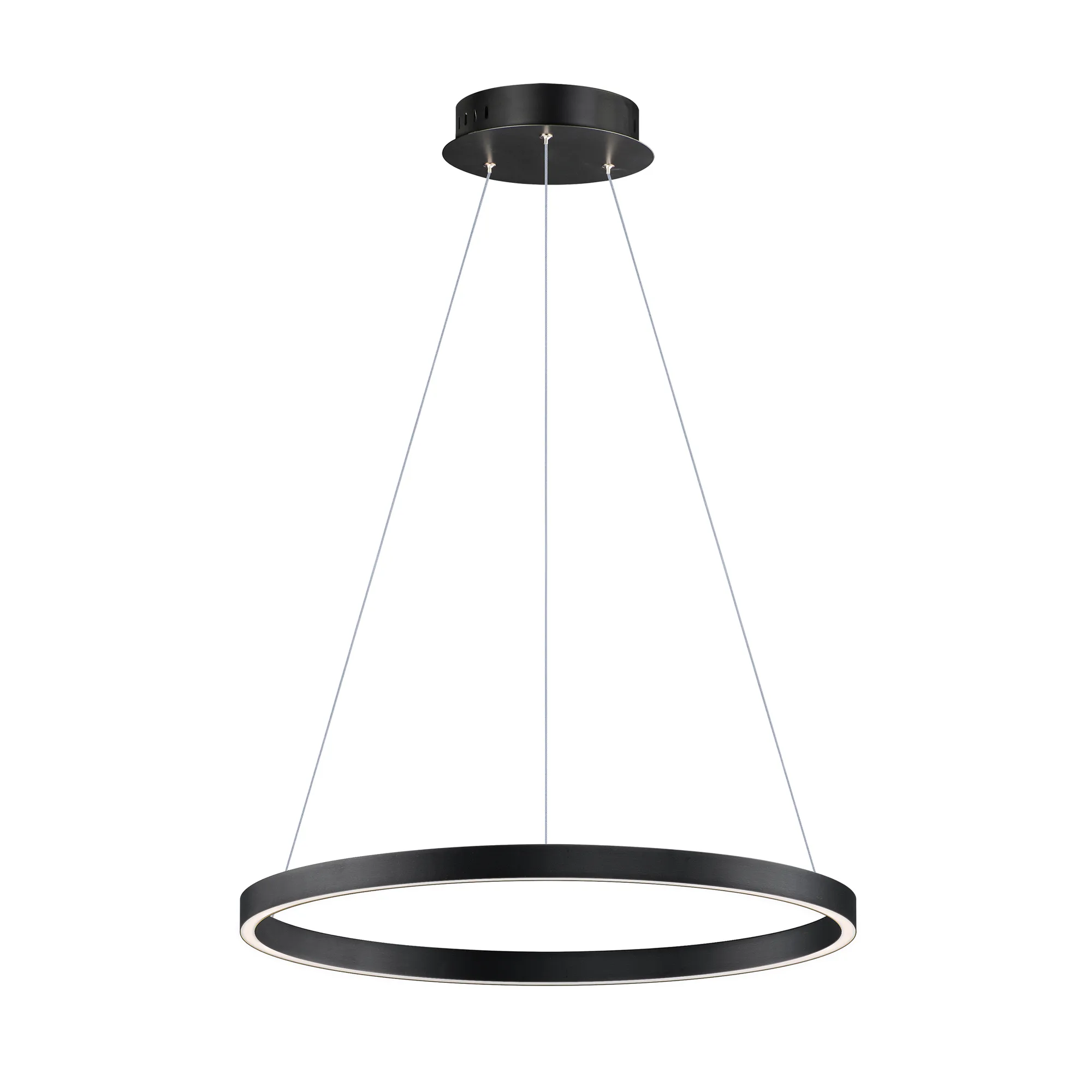 Groove 24" LED Ring Pendant - 5CCT Selectable