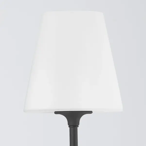 Sylvan 17" Wall Sconce in Black Forged - Image 12