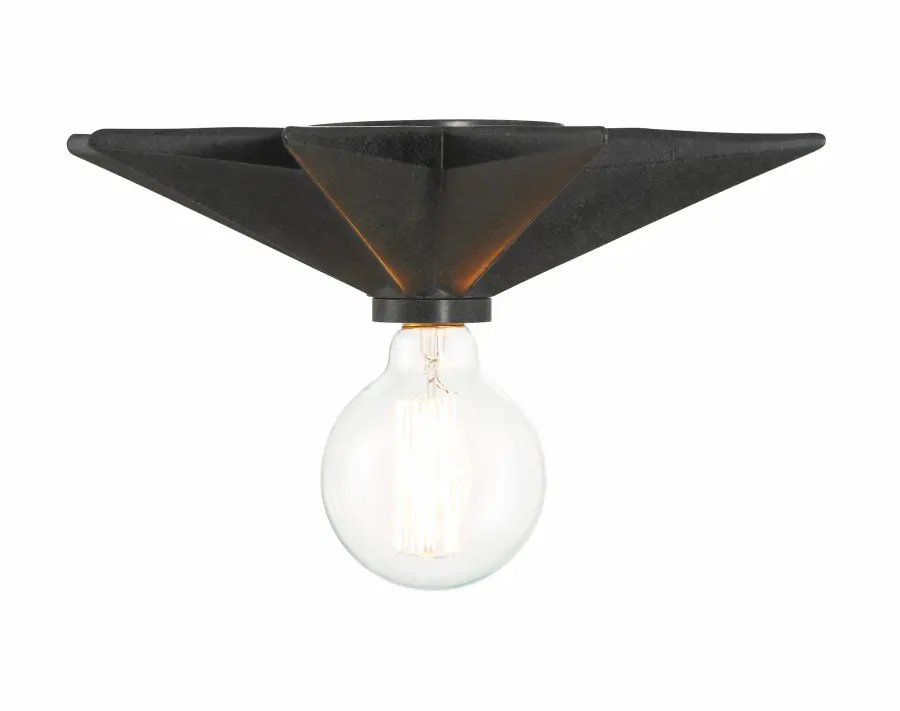 Whimsical Coastal Flush Mount with Rustic Edge - Image 3