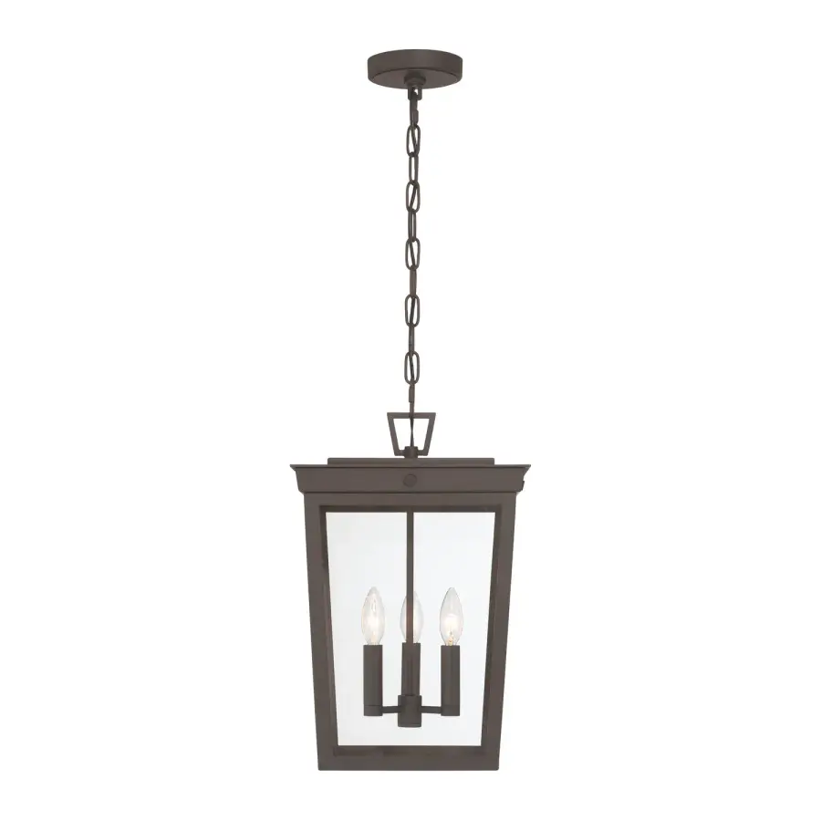 Belmont 12" Outdoor Pendant - Image 3