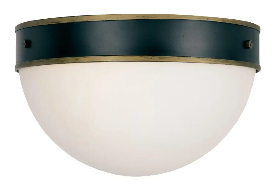Capsule 12" Outdoor Flush Mount - Image 1