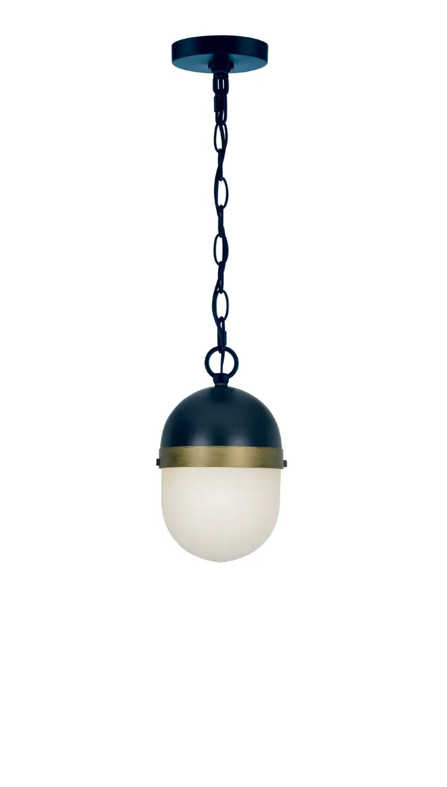 Capsule 12.25" Outdoor Pendant - Image 1