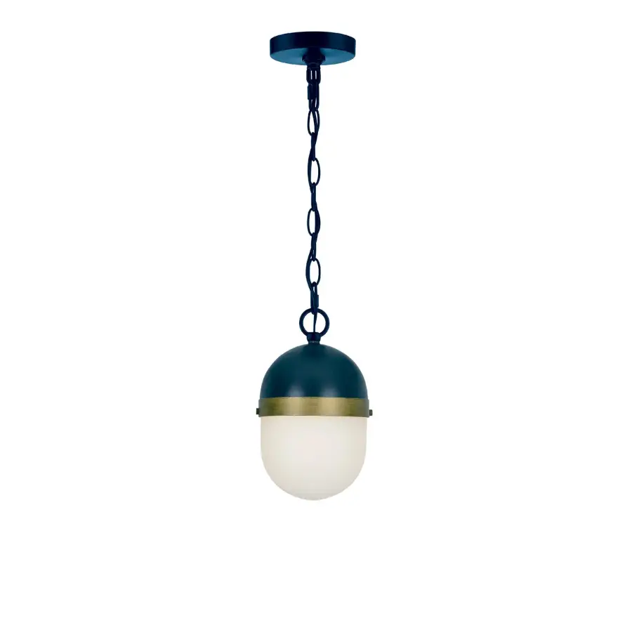 Capsule 12.25" Outdoor Pendant - Image 2