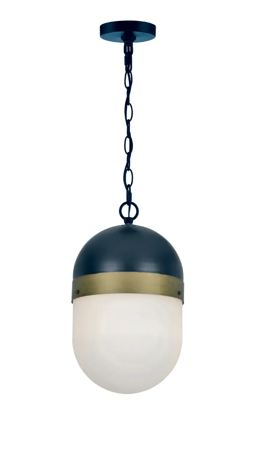 Capsule 8" Outdoor Pendant - Image 1