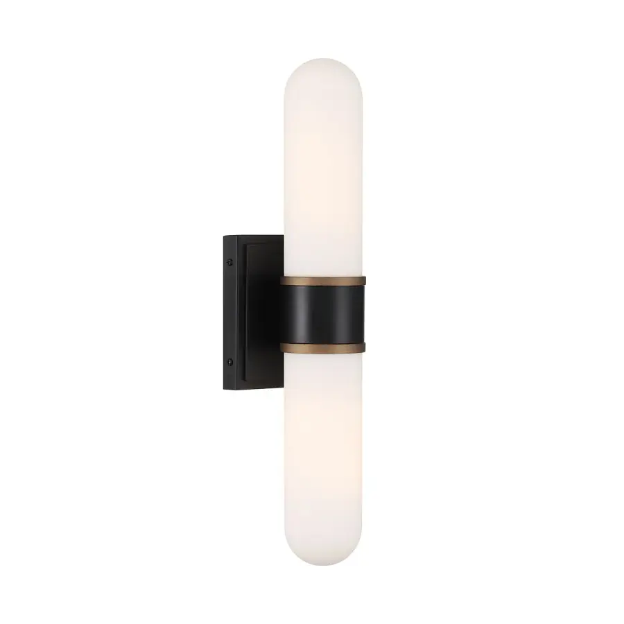 Capsule 18.5" LED Sconce - Image 1