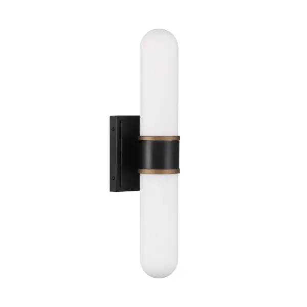 Capsule 18.5" LED Sconce - Image 2