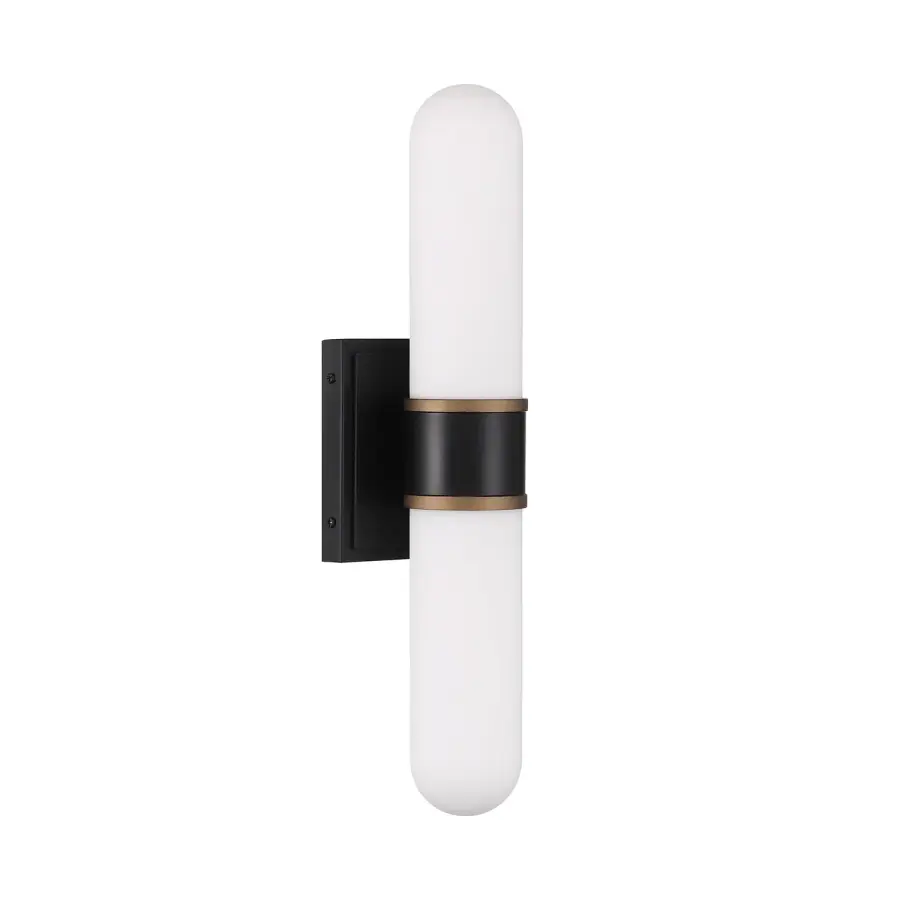 Capsule 18.5" LED Sconce - Image 2