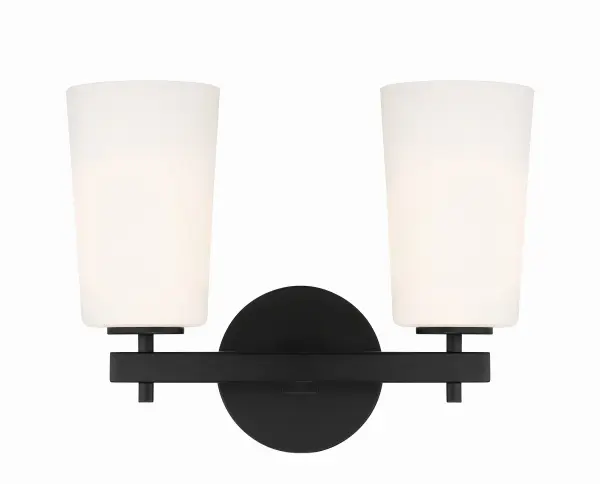 Colton 14.75" Black Sconce - Image 8