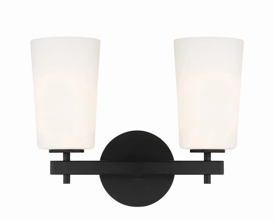 Colton 14.75" Black Sconce - Image 8