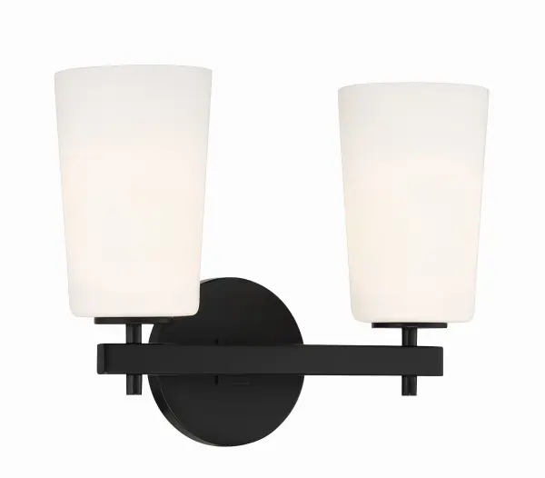 Colton 14.75" Black Sconce - Image 10
