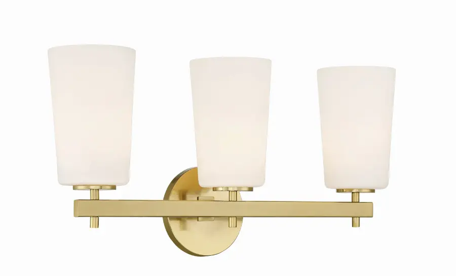Colton 23.25" Bathroom Vanity Light - Image 3