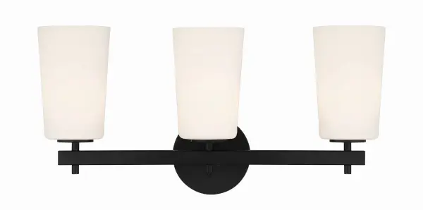 Colton 23.25" Bathroom Vanity Light - Image 7