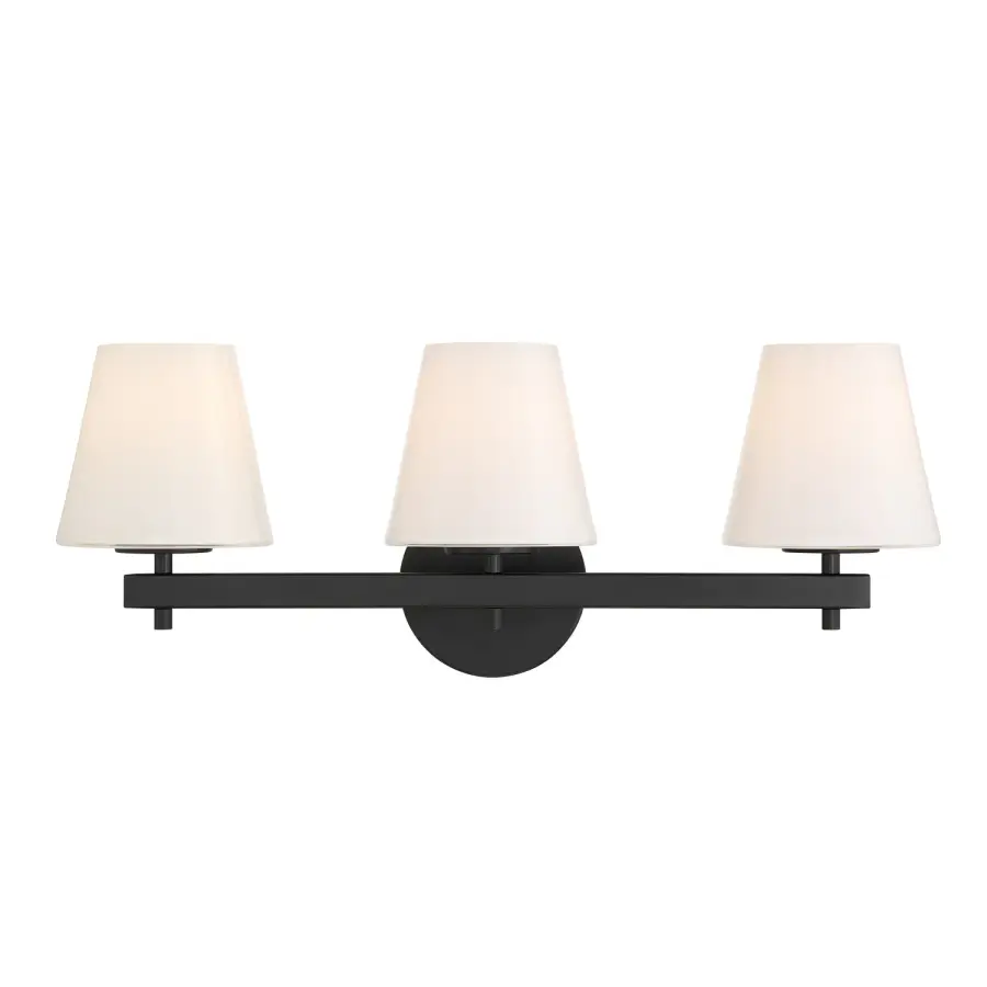 Colton 24.5" Bathroom Vanity Light in Black - Image 17