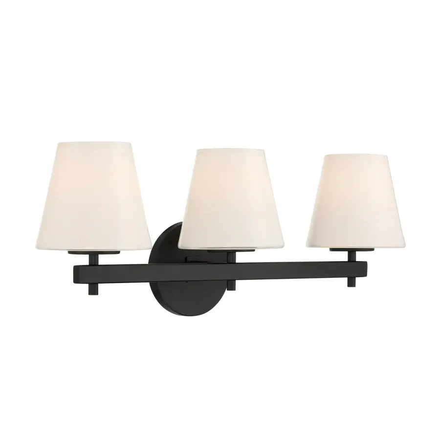 Colton 24.5" Bathroom Vanity Light in Black - Image 19