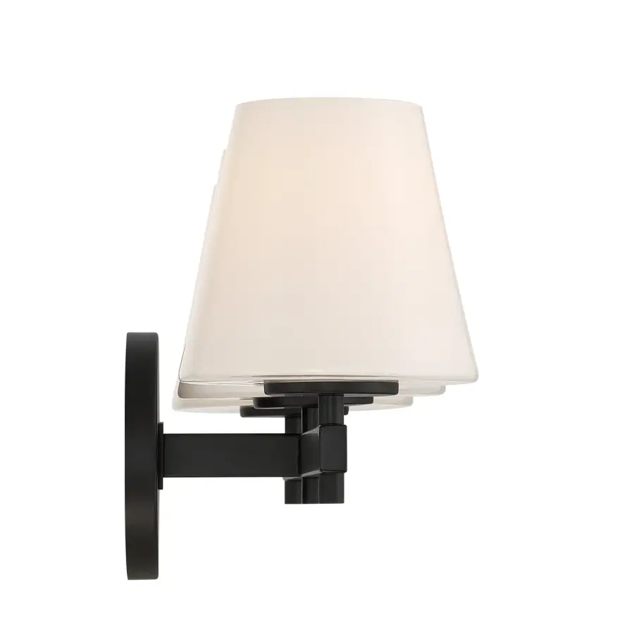 Colton 24.5" Bathroom Vanity Light in Black - Image 20