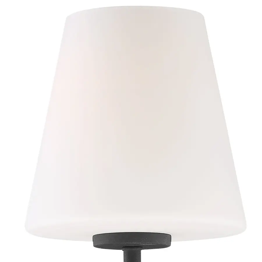 Lena 6" Wall Sconce in Black Forged - Image 11