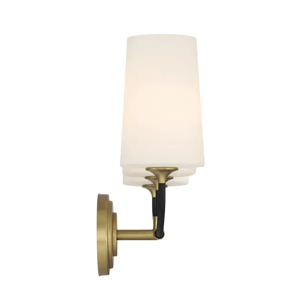 Elegant Farmhouse Vanity Light with Industrial Gold Accents - Image 4