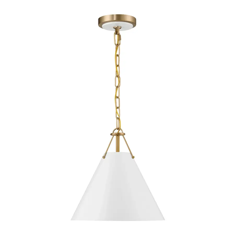 Xavier 12" Pendant in Vibrant Gold - Image 19