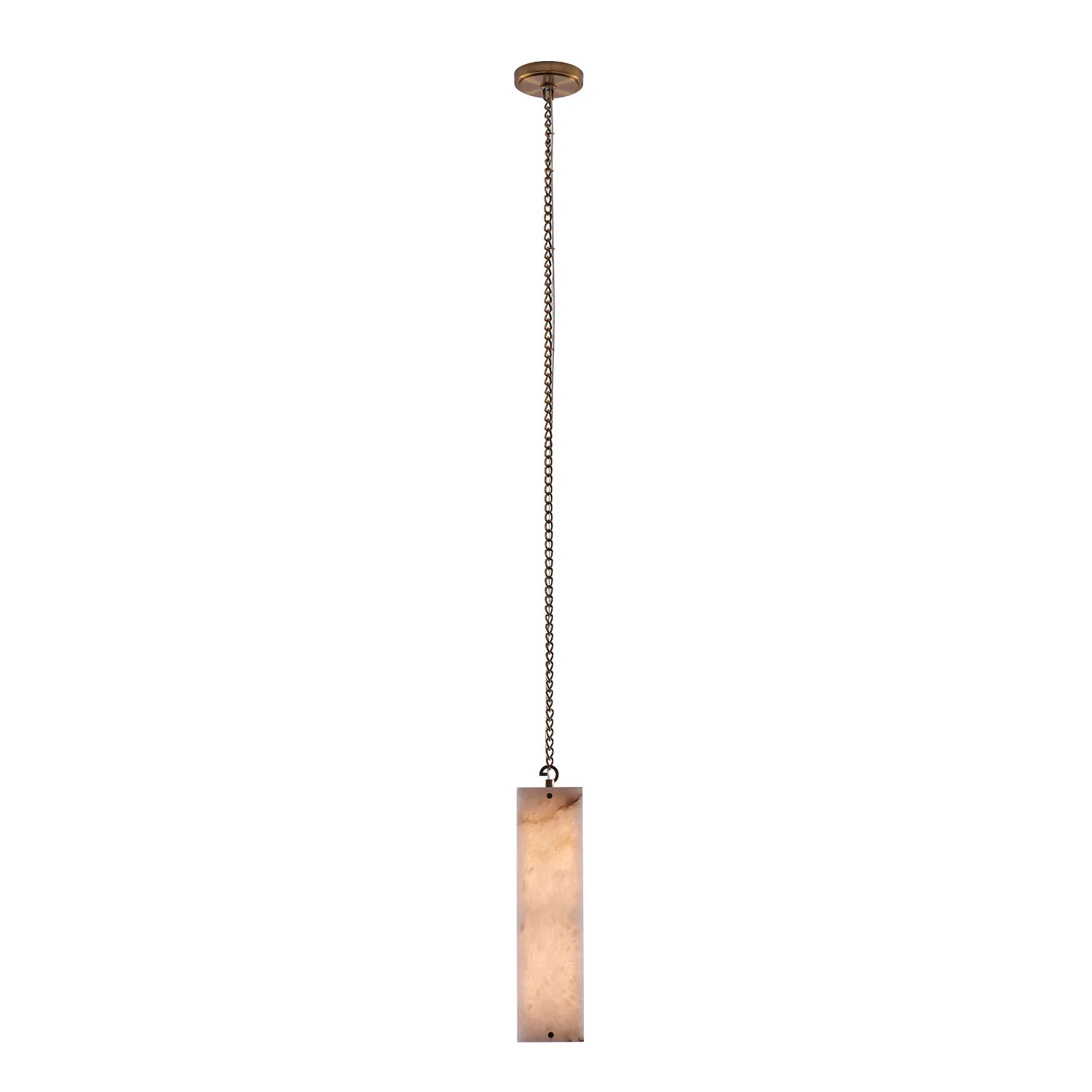 Vertical LED Pendant in Winter Brass