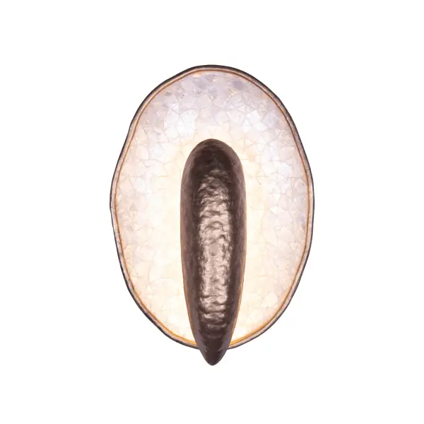 Inspired by oyster shells, the Spat wall sconce family features an uneven natural edge with an iridescent natural Capiz Shell interior. The driverless LED technology offers an indirect light that bounces off the shells to illuminate its surroundings. Offered in a Pearlized Antique Brass finish and can be hung both upside down and sideways. Collection: Spat Rooms: Bathroom Finish: Pearlized Antique Brass Width: 8.00" Height: 12.00" Weight: 5.00 lb Extension from Wall: 4.00" Wire: 12" Canopy: 6"x0.75" Bulbs Included Maximum Wattage: 12.00 W Bulb Type: LED Bulb Base: Integrated Light Source: LED Light Output: 900.00 lm Color Temperature: 3000 K CRI: 90 Dimmable Voltage: 120.00 V Material: Capiz, Steel Country of Origin: Philippines Safety Listing: UL-cUL Safety Rating: Dry ADA LED - alternate view