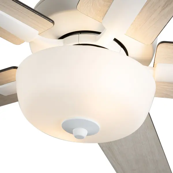 Versatile Modern Fan with Customizable Blade Finishes and Integrated LED - Image 11