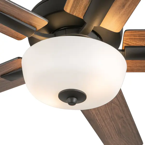 Versatile Modern Fan with Customizable Blade Finishes and Integrated LED - Image 14