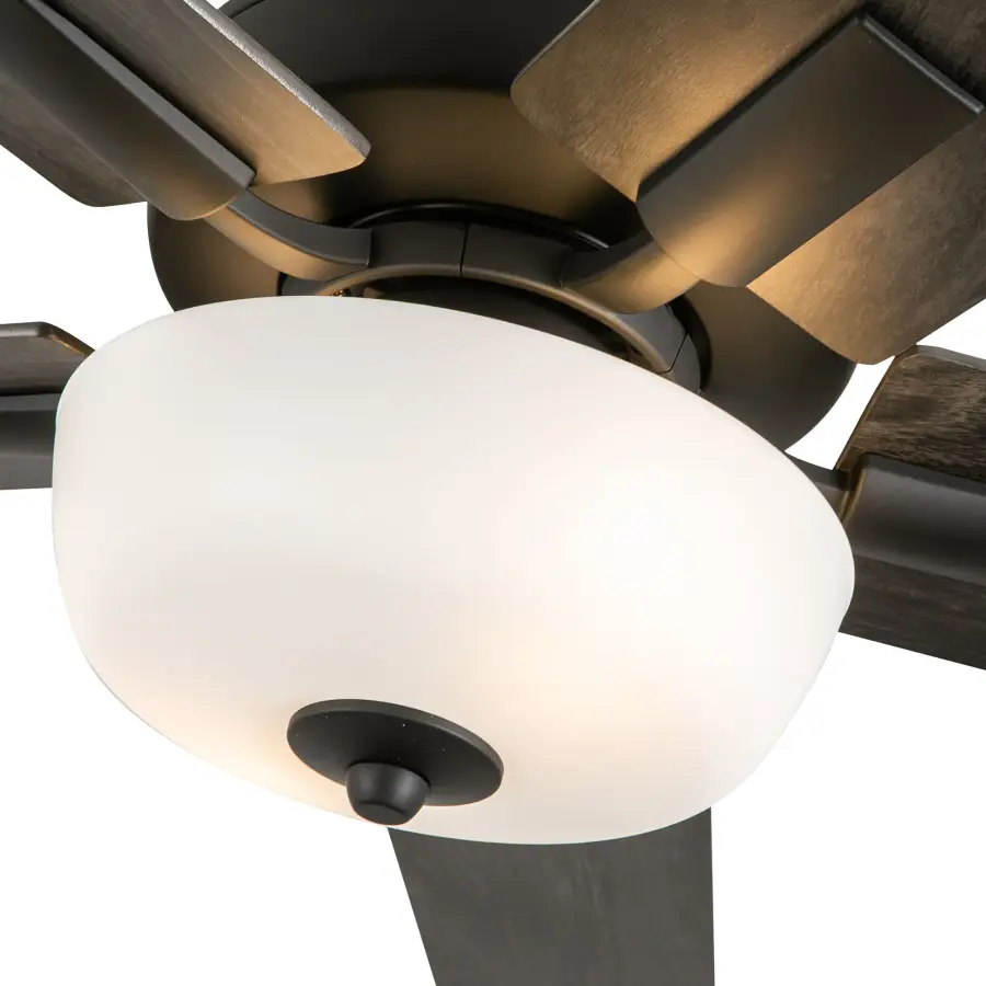 Versatile Modern Fan with Customizable Blade Finishes and Integrated LED - Image 15