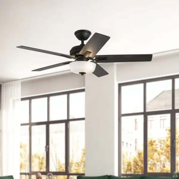Versatile Modern Fan with Customizable Blade Finishes and Integrated LED - Image 4