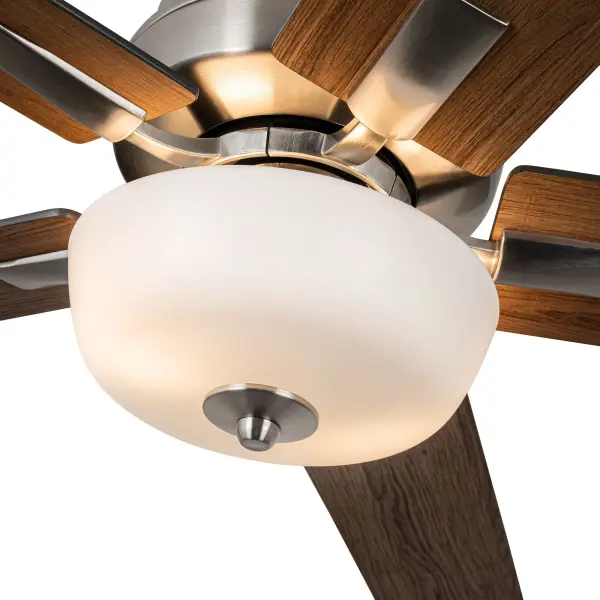 Versatile Modern Fan with Customizable Blade Finishes and Integrated LED - Image 6