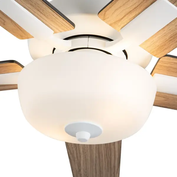Versatile Modern Fan with Customizable Blade Finishes and Integrated LED - Image 10