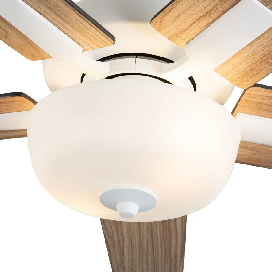 Versatile Modern Fan with Customizable Blade Finishes and Integrated LED - Image 10