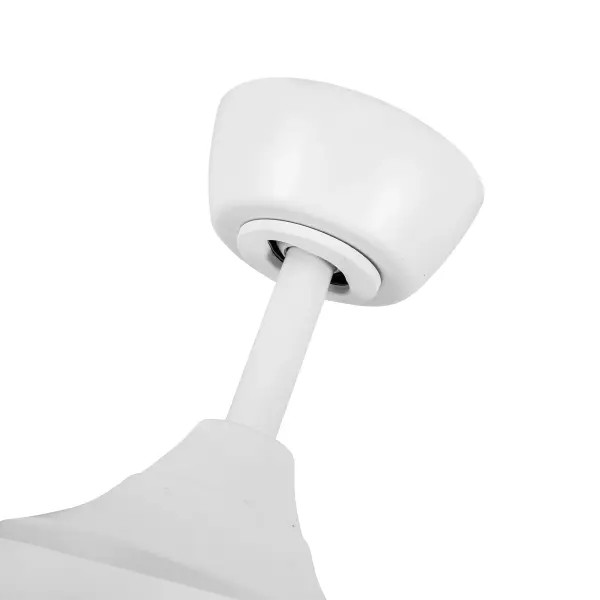 Coronado 56-Inch Ceiling Fan with Light - Image 13