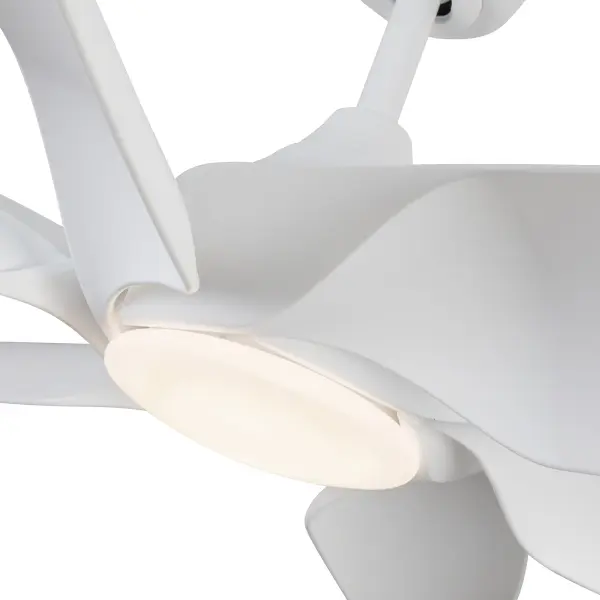 Coronado 60-Inch Ceiling Fan with Light - Image 12