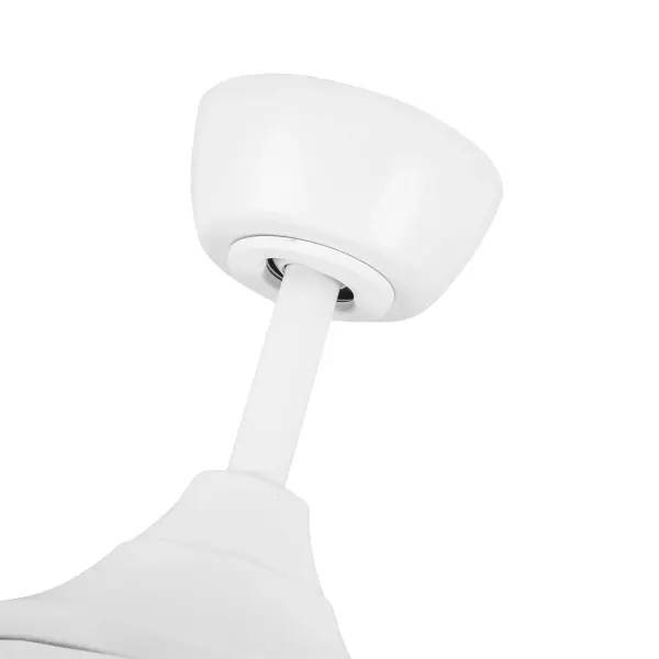 Coronado 60-Inch Ceiling Fan with Light - Image 13