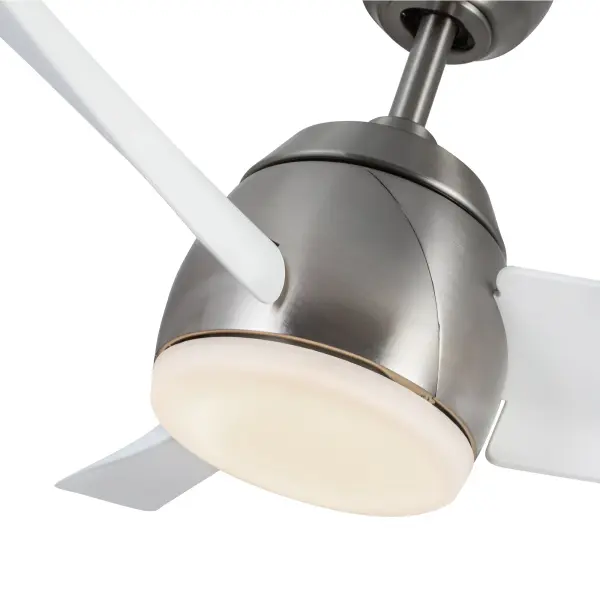 Thalia 54-Inch Ceiling Fan with Light - Image 22
